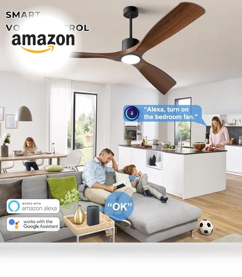 Smart Ceiling Fan with Light — Ceiling Fan Wall Controls, BOOSANT