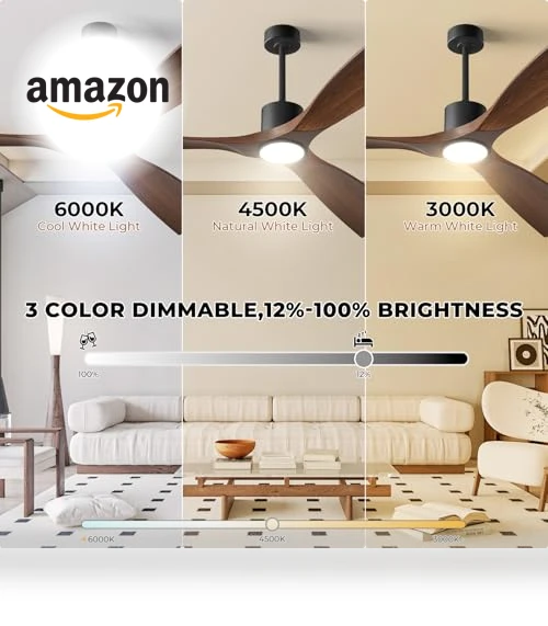 Smart Ceiling Fan with Light — Ceiling Fan Wall Controls, BOOSANT