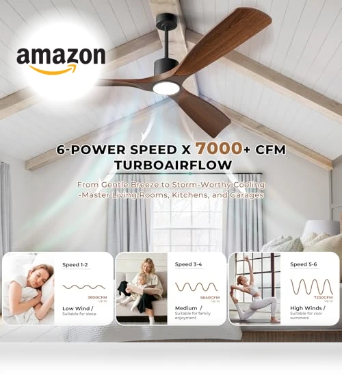 Smart Ceiling Fan with Light — Ceiling Fan Wall Controls, BOOSANT