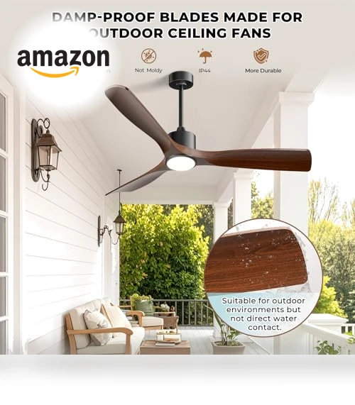 Smart Ceiling Fan with Light — Ceiling Fan Wall Controls, BOOSANT