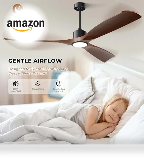 Smart Ceiling Fan with Light — Ceiling Fan Wall Controls, BOOSANT