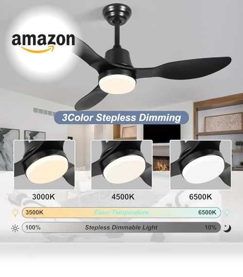 Smart Ceiling Fan with Light — Ceiling Fan Wall Controls, LINJO