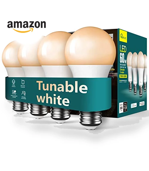 Smart Light Bulbs — Lighting Solutions, TREATLIFE