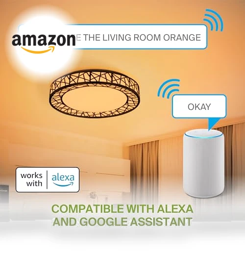Smart RGBW Flush Mount Ceiling Light — LED, ASD