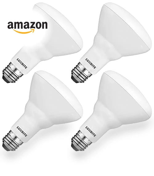 BR30 LED Bulb — Lighting Solutions, LUXRITE