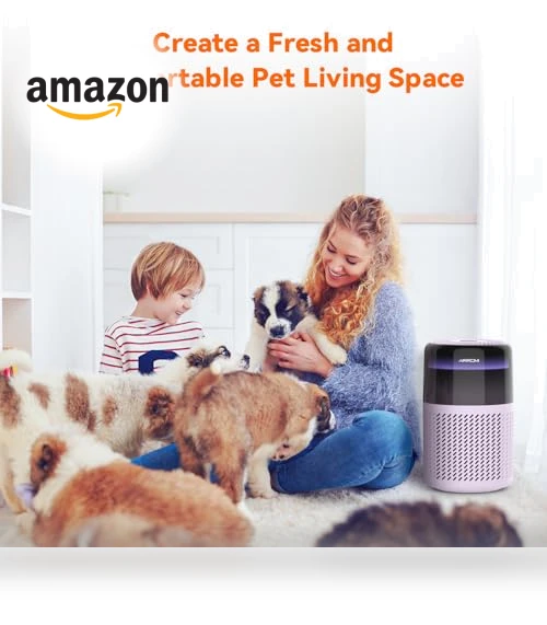 Air Purifier — Activated Carbon Air Purifiers, AIRROMI