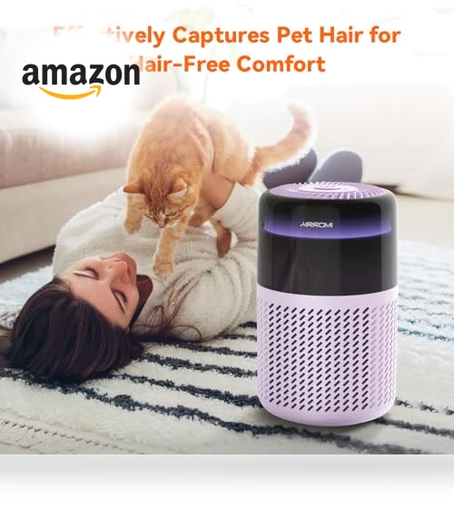 Air Purifier — Activated Carbon Air Purifiers, AIRROMI