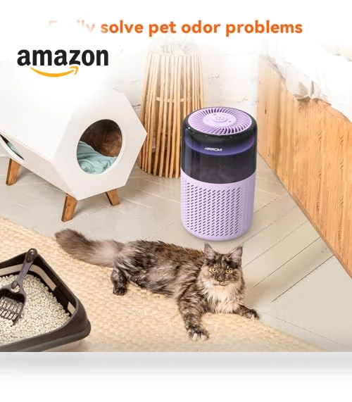 Air Purifier — Activated Carbon Air Purifiers, AIRROMI