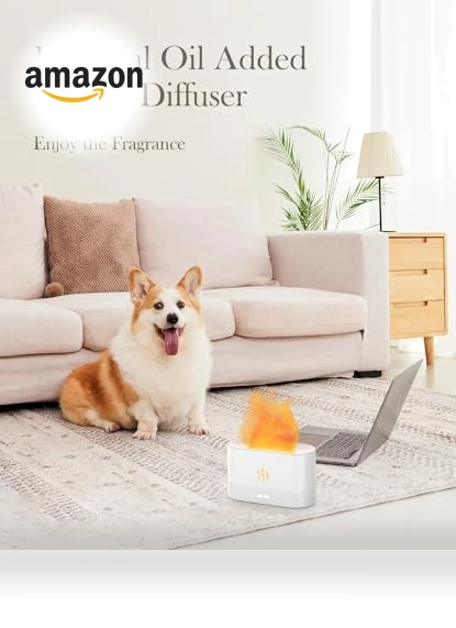 Flame Air Diffuser Humidifier — Diffusers, Aegci