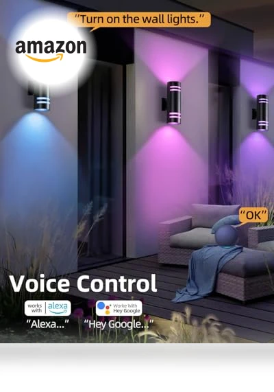 Smart Dusk to Dawn Outdoor Lighting RGB Color Changing Porch Lights — Outdoor Security & Flood Lighting, KIZON