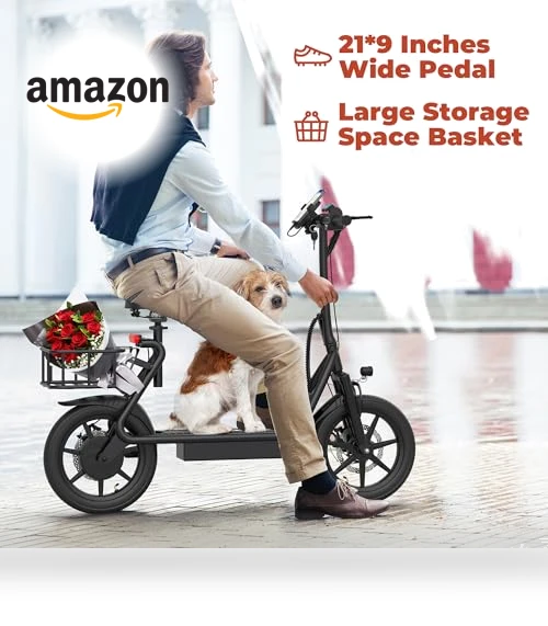 Electric Scooter — Electric Vehicles, WERHY