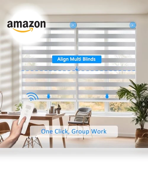 Motorized Zebra Blinds — Smart Home Hubs & Controllers, COOLWINDS