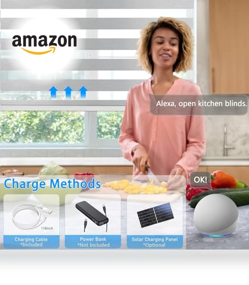 Motorized Zebra Blinds — Smart Home Hubs & Controllers, COOLWINDS