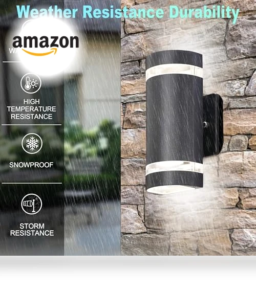 Smart LED Outdoor Wall Sconce — LED, WISELUME