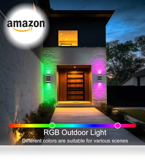 Smart LED Outdoor Wall Sconce — LED, WISELUME