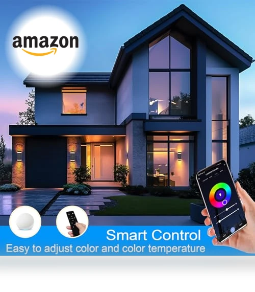 Smart LED Outdoor Wall Sconce — LED, WISELUME
