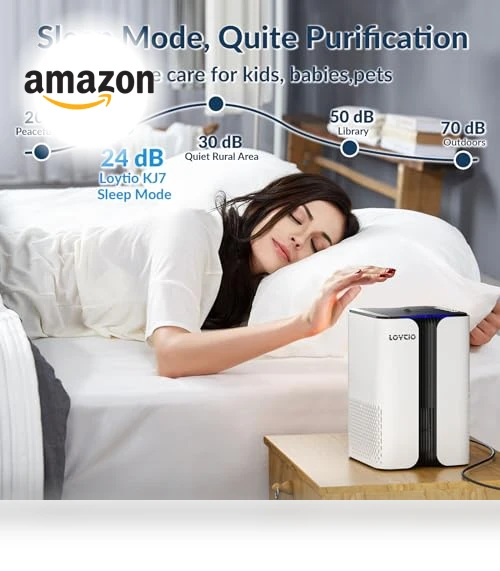 HEPA Air Purifier with Night Light and Aromatherapy — Activated Carbon Air Purifiers, Loytio