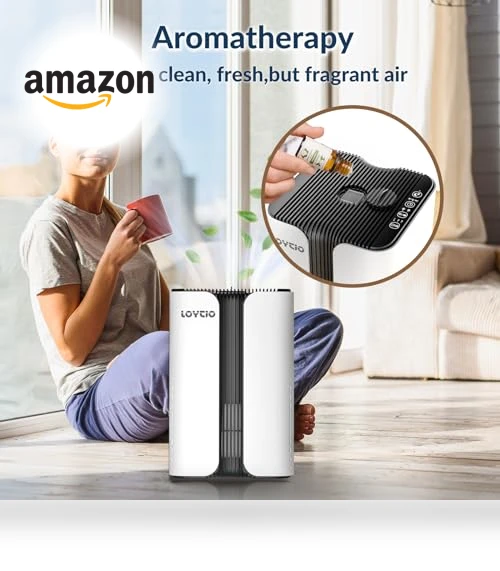 HEPA Air Purifier with Night Light and Aromatherapy — Activated Carbon Air Purifiers, Loytio