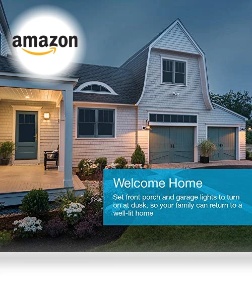 Smart Switch Kit — Lighting Accessories, Lutron
