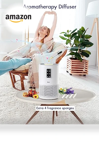 True HEPA Air Purifier for Large Rooms — Activated Carbon Air Purifiers, VEWIOR