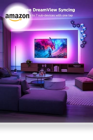 TV Backlight with Fish-Eye Correction Function — Immersive Viewing, Govee
