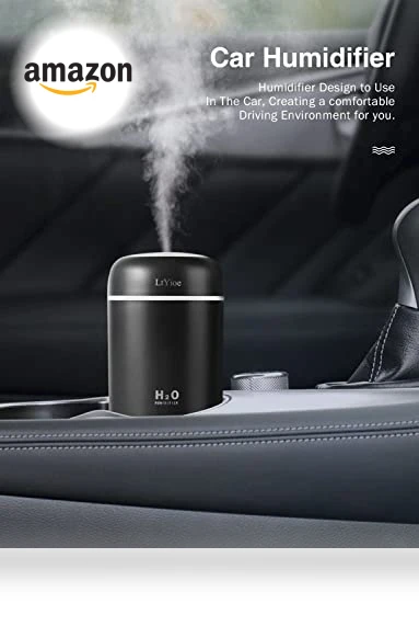 Portable Mini Humidifier with Colorful Night Light — Air Moisturizers, LtYioe