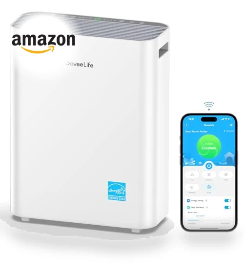 Smart Air Purifier — Activated Carbon Air Purifiers, GoveeLife