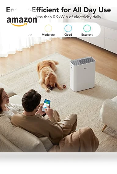 Smart Air Purifier — Activated Carbon Air Purifiers, GoveeLife