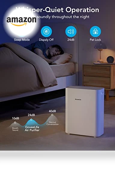 Smart Air Purifier — Activated Carbon Air Purifiers, GoveeLife