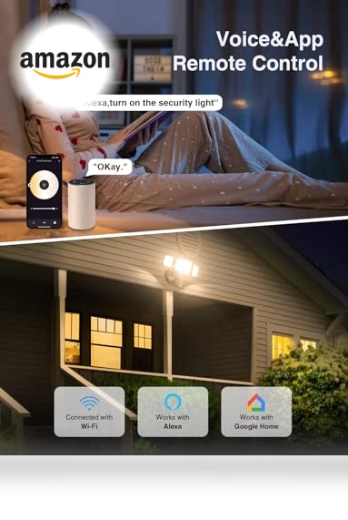Smart LED Security Lights — Outdoor Security & Flood Lighting, Onforu