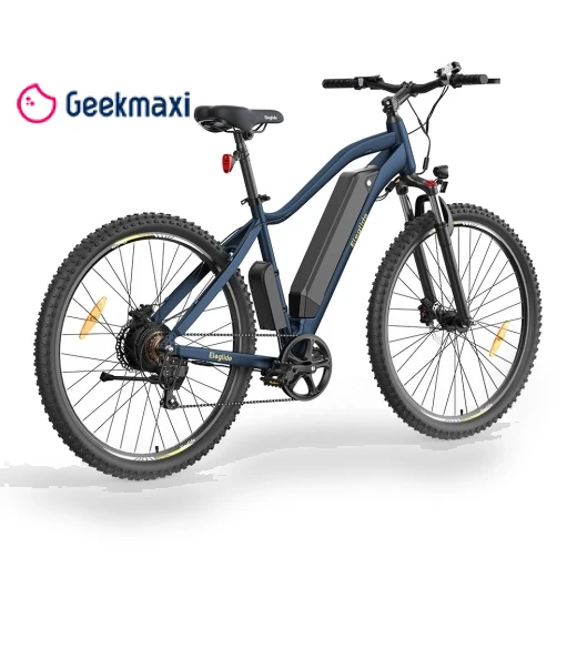 Electric Bike with Hydraulic Brake and Mountain Tires — Electric Self-Balancing Scooters, Eleglide