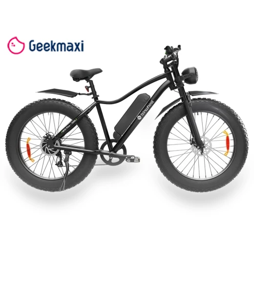 Electric Bike — Electric Self-Balancing Scooters, isinwheel
