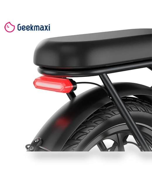 Foldable Electric Bike — Electric Self-Balancing Scooters, Fafrees