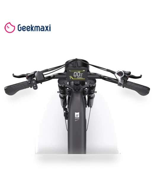 Electric Bike — Electric Self-Balancing Scooters, Onesport