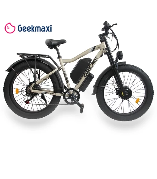 Electric Bike — E-Bikes, Orlms