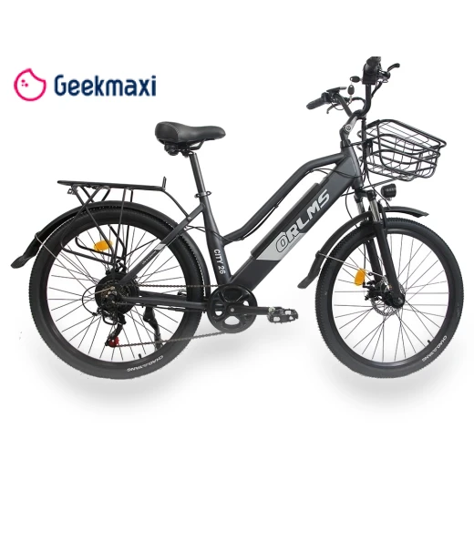 Electric Bike — Electric Self-Balancing Scooters, Orlms