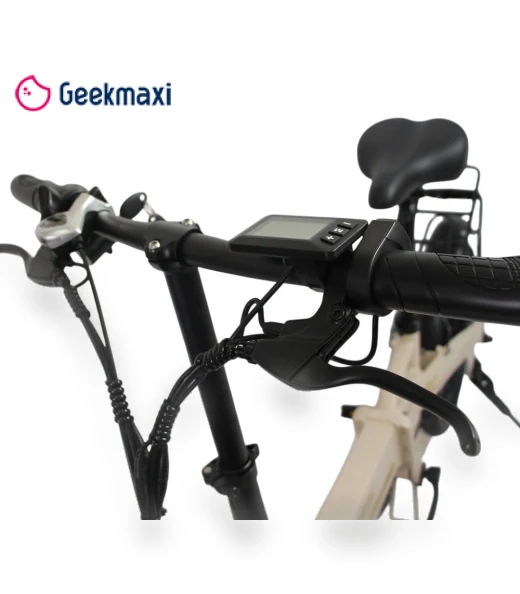 Electric Bike — Electric Self-Balancing Scooters, Orlms