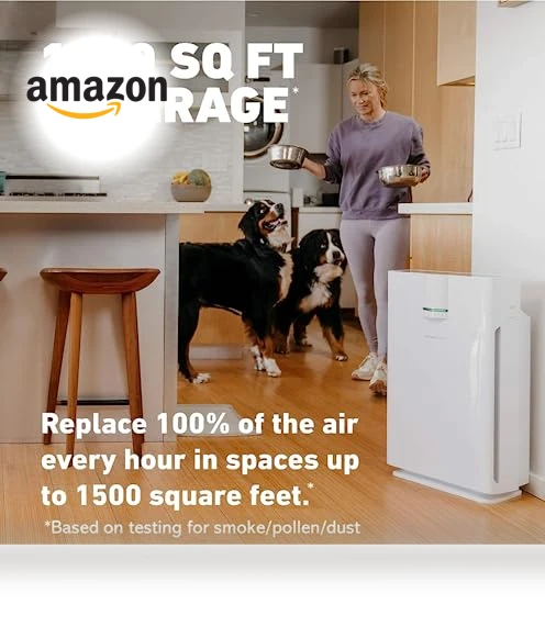 True HEPA Air Purifier — Activated Carbon Air Purifiers, HATHASPACE