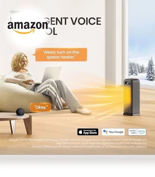 Smart Space Heater — Heater Spare Components, MORENTO