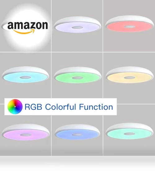 Smart Waterproof LED Flush Mount Ceiling Light Fixture with Bluetooth Speaker — Overhead Lighting, ASALL
