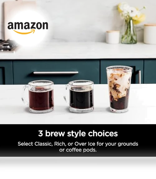 DualBrew Hot & Iced Coffee Maker — Chilled Brew Essentials, Ninja