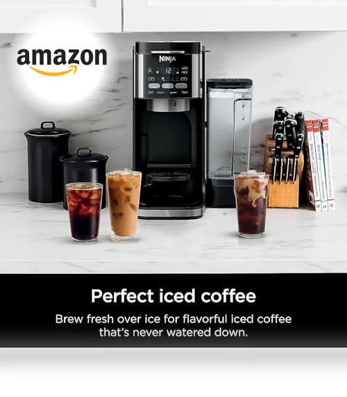 DualBrew Hot & Iced Coffee Maker — Chilled Brew Essentials, Ninja