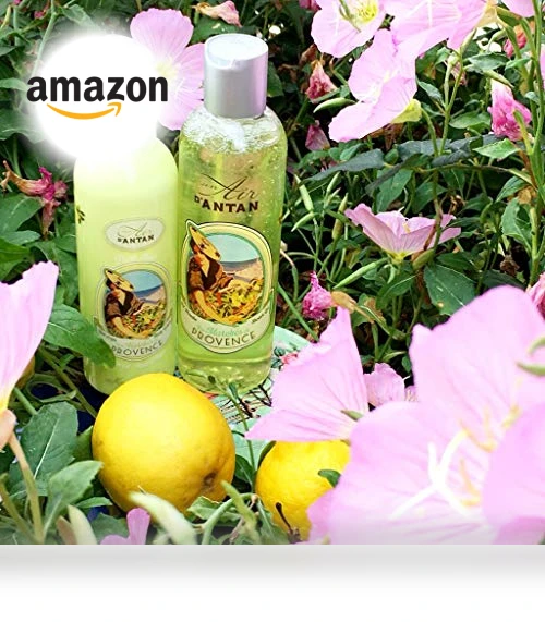 Christmas Gift Set for Women - 2 Piece Body Lotion & Body Wash Set — Women, Un Air d'Antan