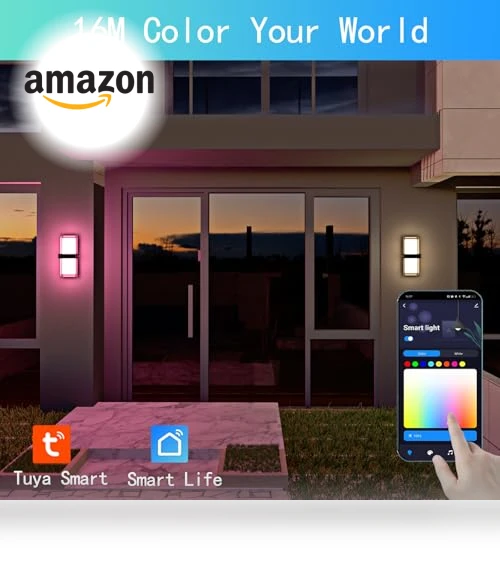 Color Changing LED Outdoor Wall Lights — Garden Illumination, WISELUME