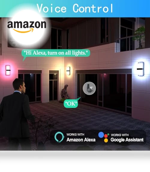 Color Changing LED Outdoor Wall Lights — Garden Illumination, WISELUME