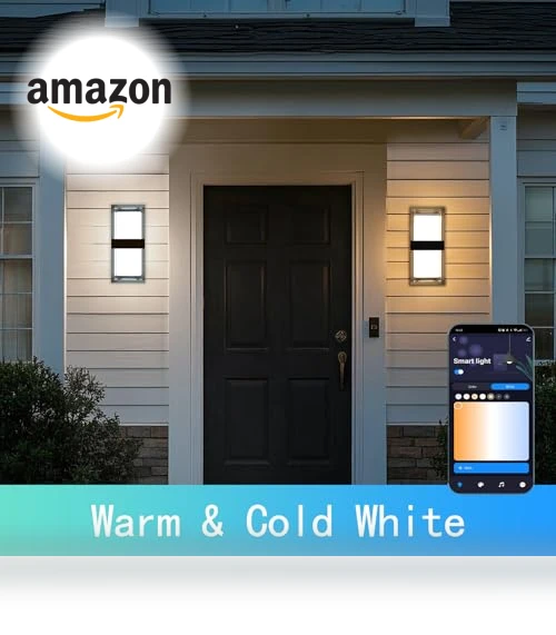 Color Changing LED Outdoor Wall Lights — Garden Illumination, WISELUME