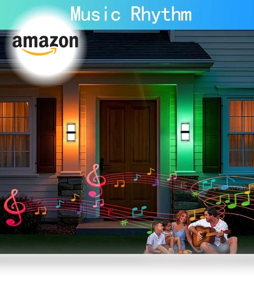 Color Changing LED Outdoor Wall Lights — Garden Illumination, WISELUME