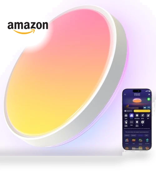 Smart Ceiling Light — Ceiling, Govee