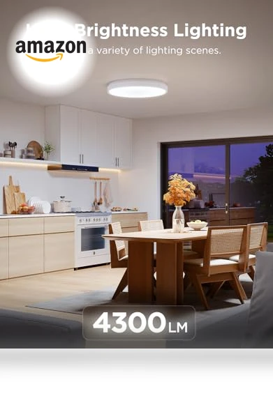 Smart Ceiling Light — Ceiling, Govee