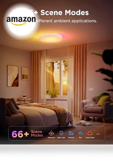Smart Ceiling Light — Ceiling, Govee